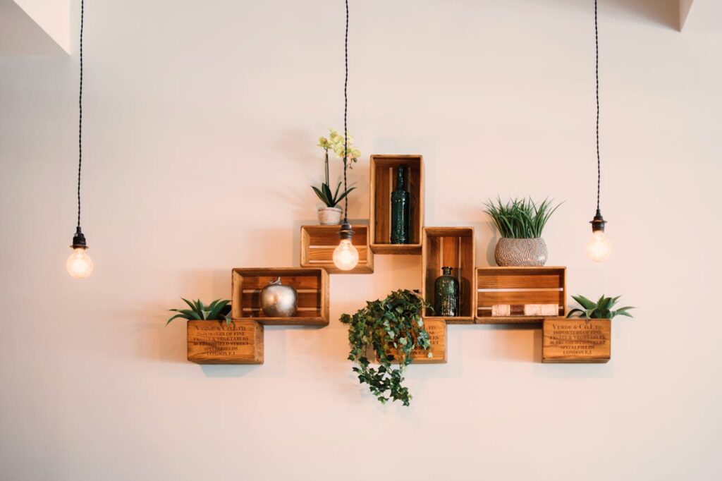Decoração de ambientes com plantas