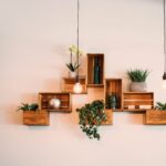 Decoração de ambientes com plantas