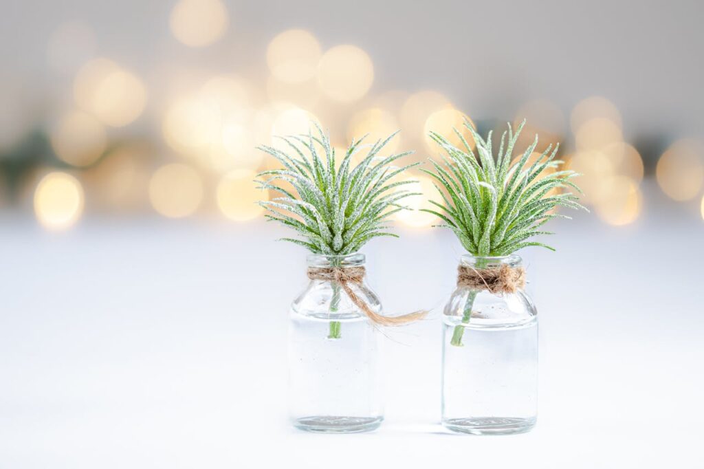 Ideias de decorações baratas para transformar à casa