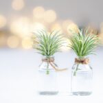 Ideias de decorações baratas para transformar à casa